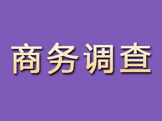 运河商务调查